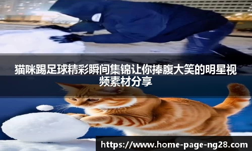 猫咪踢足球精彩瞬间集锦让你捧腹大笑的明星视频素材分享